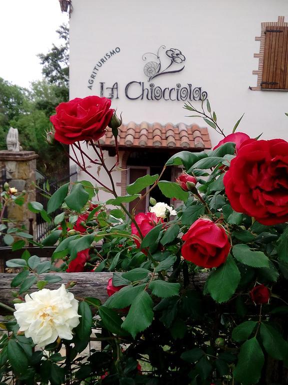 Agriturismo La Chiocciola Poggio Murella Bagian luar foto