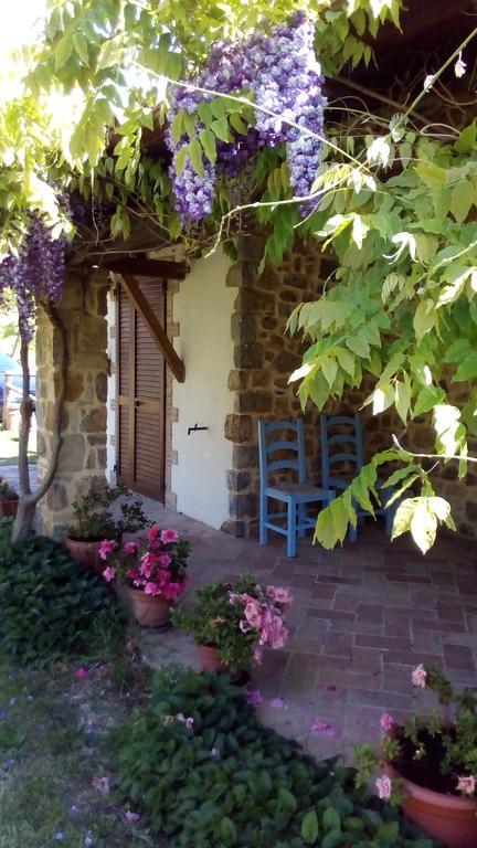 Agriturismo La Chiocciola Poggio Murella Bagian luar foto